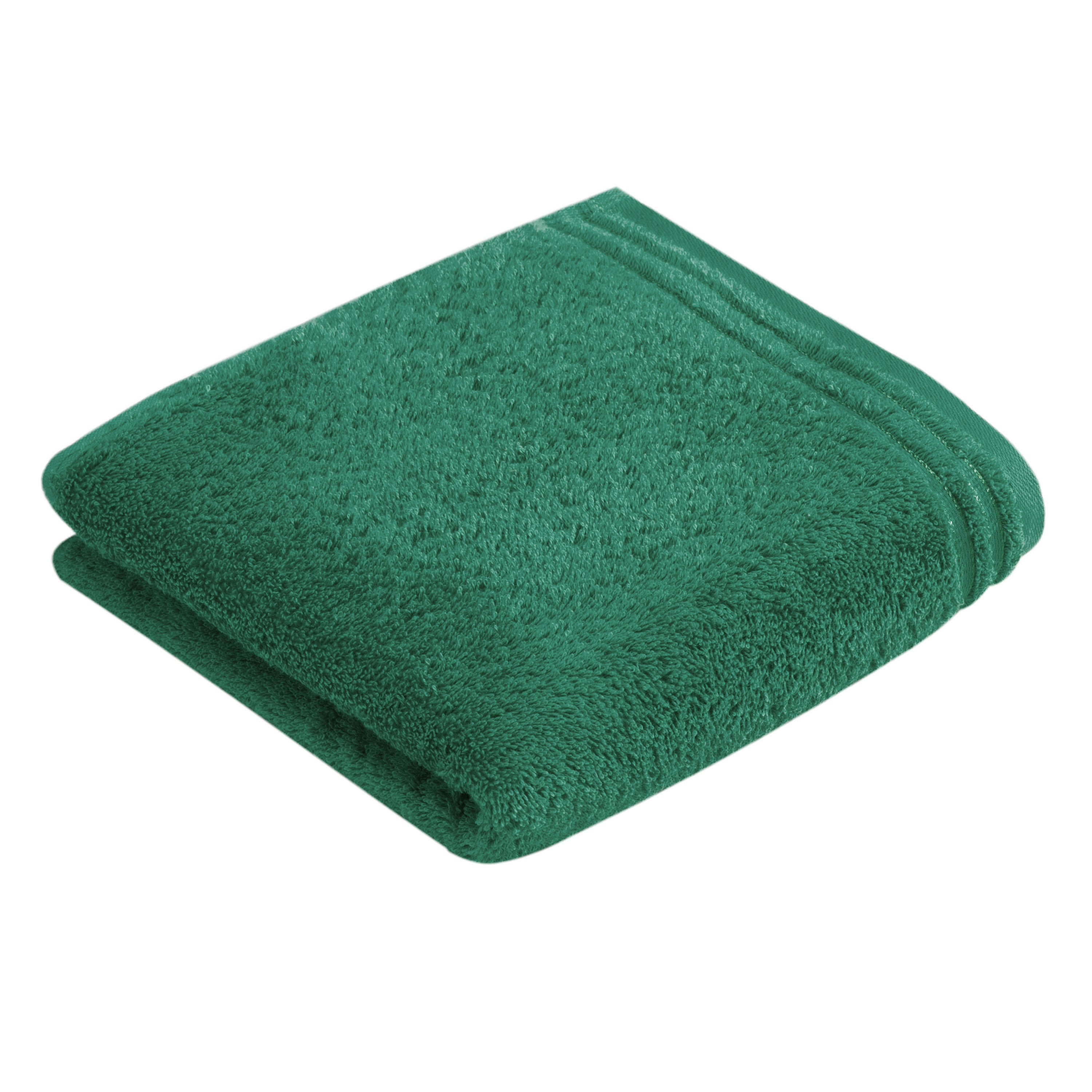 COLOR:oasis