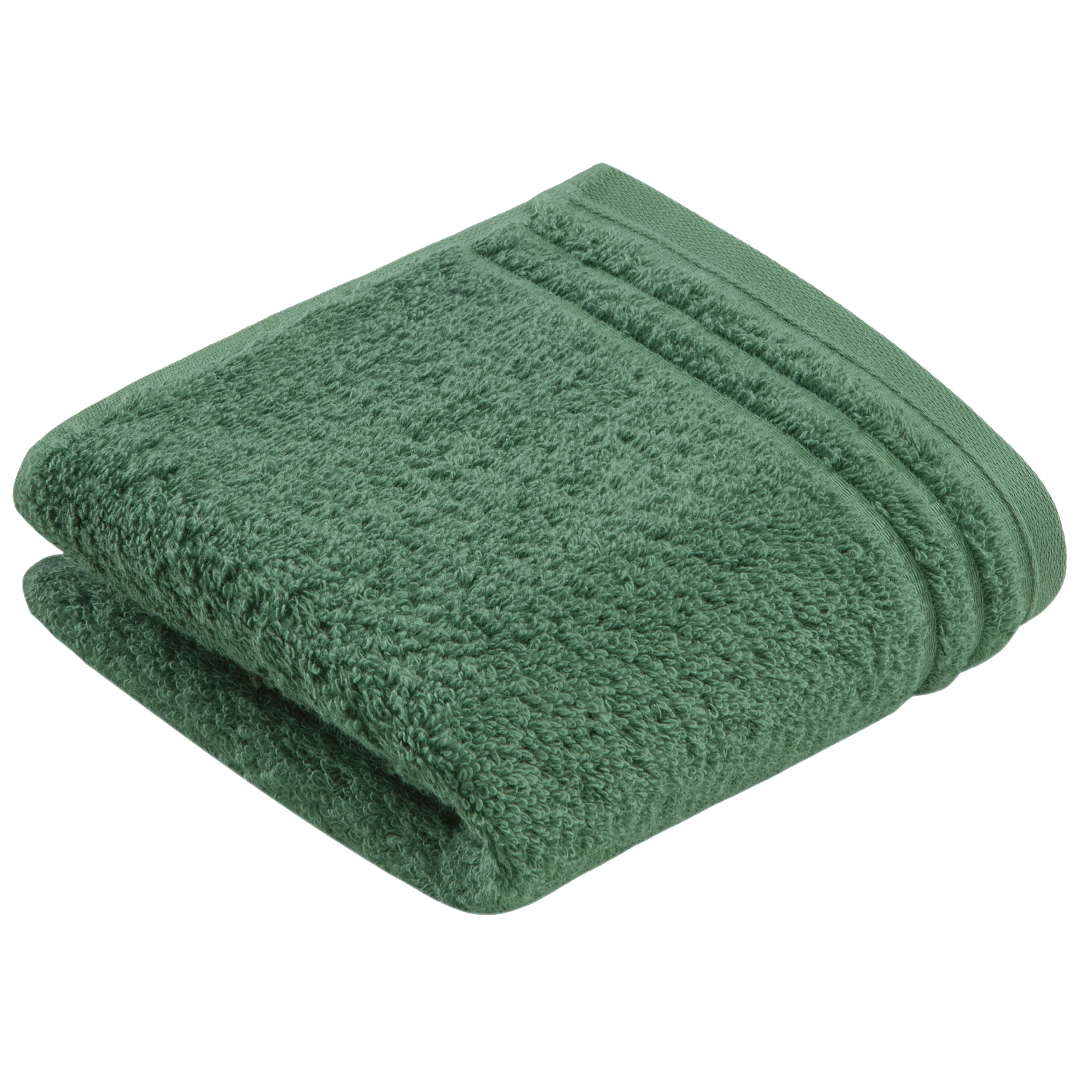 COLOR:evergreen