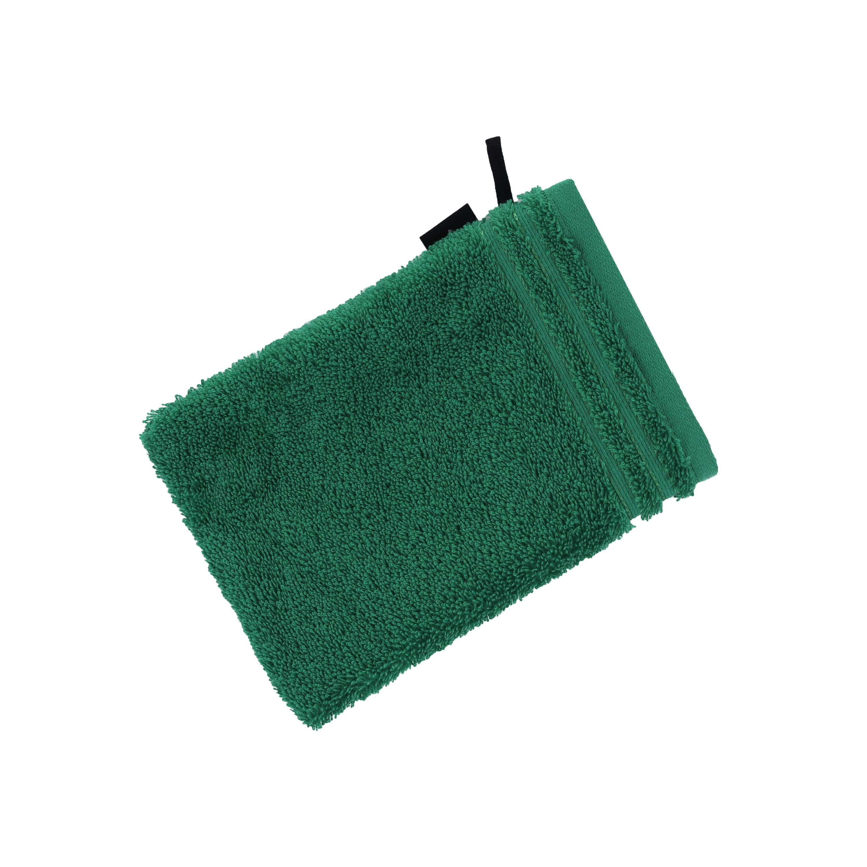 COLOR:oasis